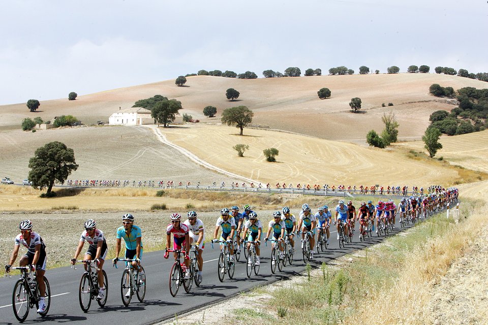 Peleton Vuelta a España Fot.: Adobe Stock / Sport Evolution