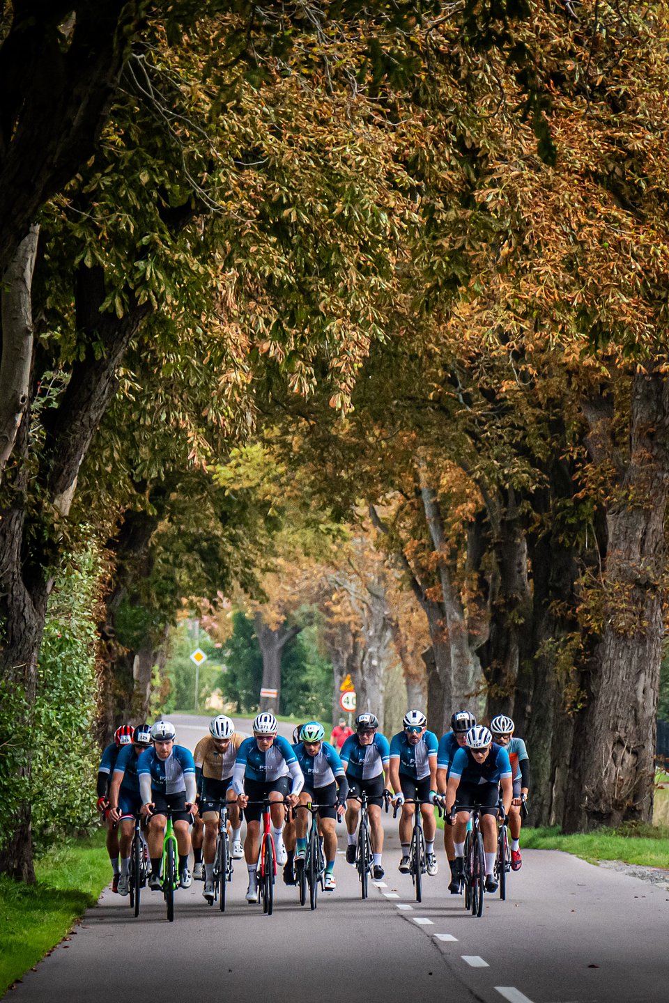 Fot.: Tomasz Markowski / Sport Evolution