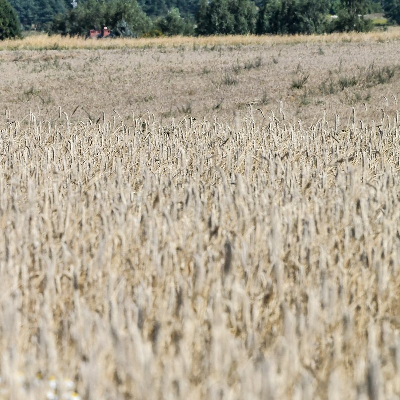 190811 ENEA IRONMAN GDYNIA 141.JPG