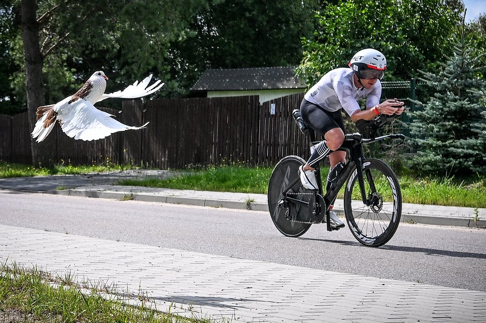 IRONMAN 70.3 Gdynia 2024 / Fot.: Bartek Zborowski / Sport Evolution