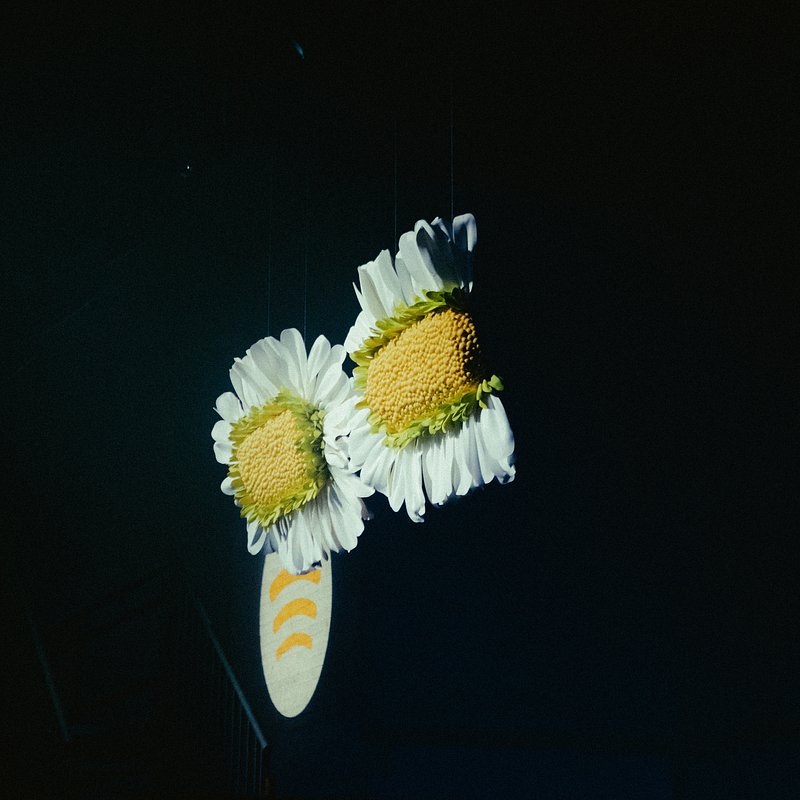 OFFCULT Event 24-10-2025 6.jpg