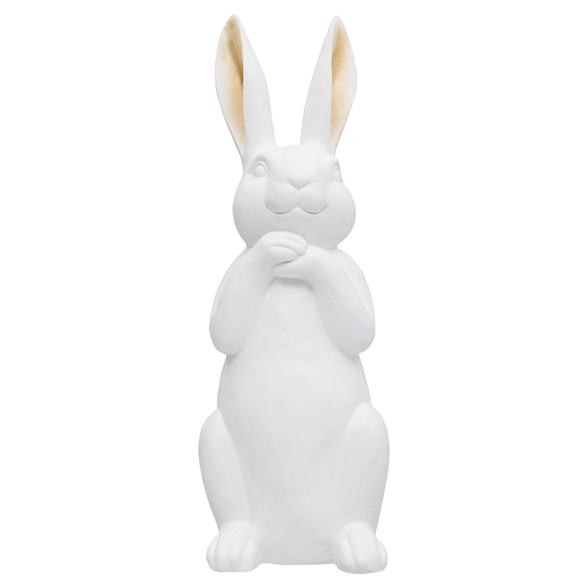 Duży zając biały(1).jpg