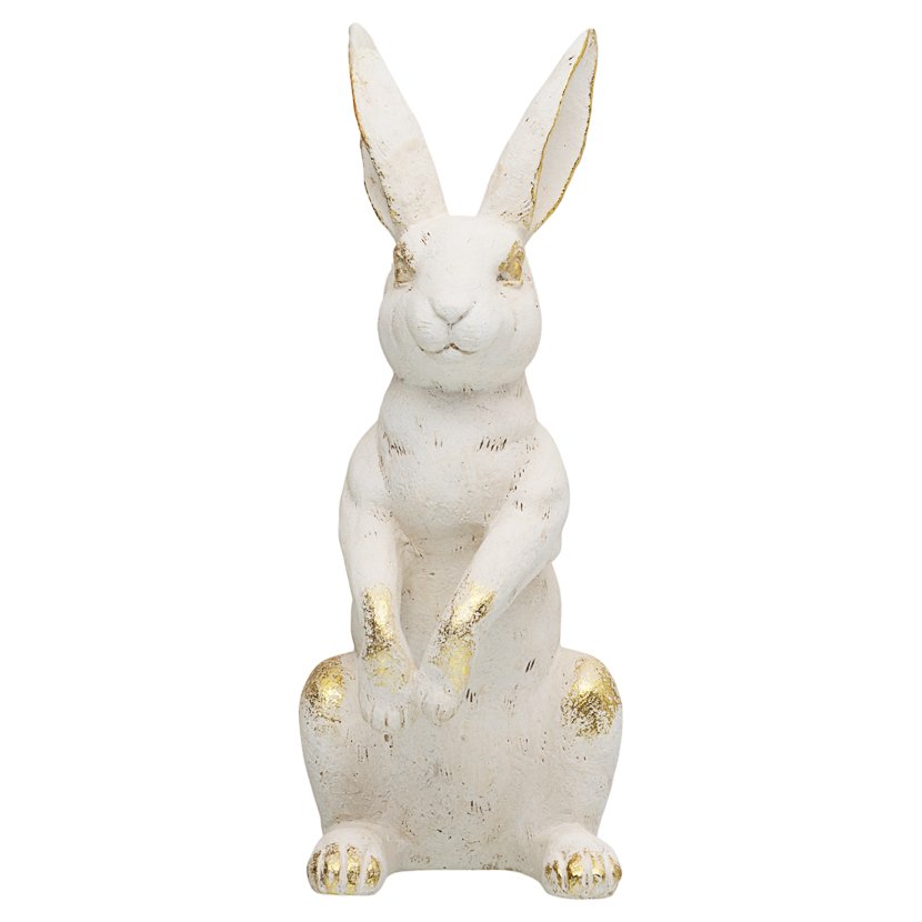 Zając wysoki, przetarcia, 119zł.jpg