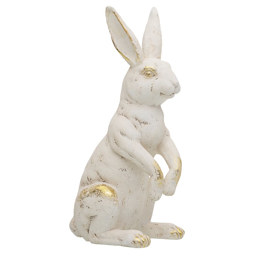 Zając wysoki, przetarcia, 119zł(1).jpg