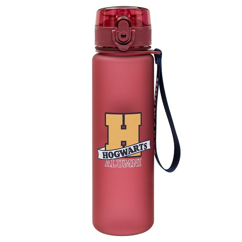 HP BTS BUTELKA NA WODĘ, 600ML, HOGWARTS 59,99.jpg