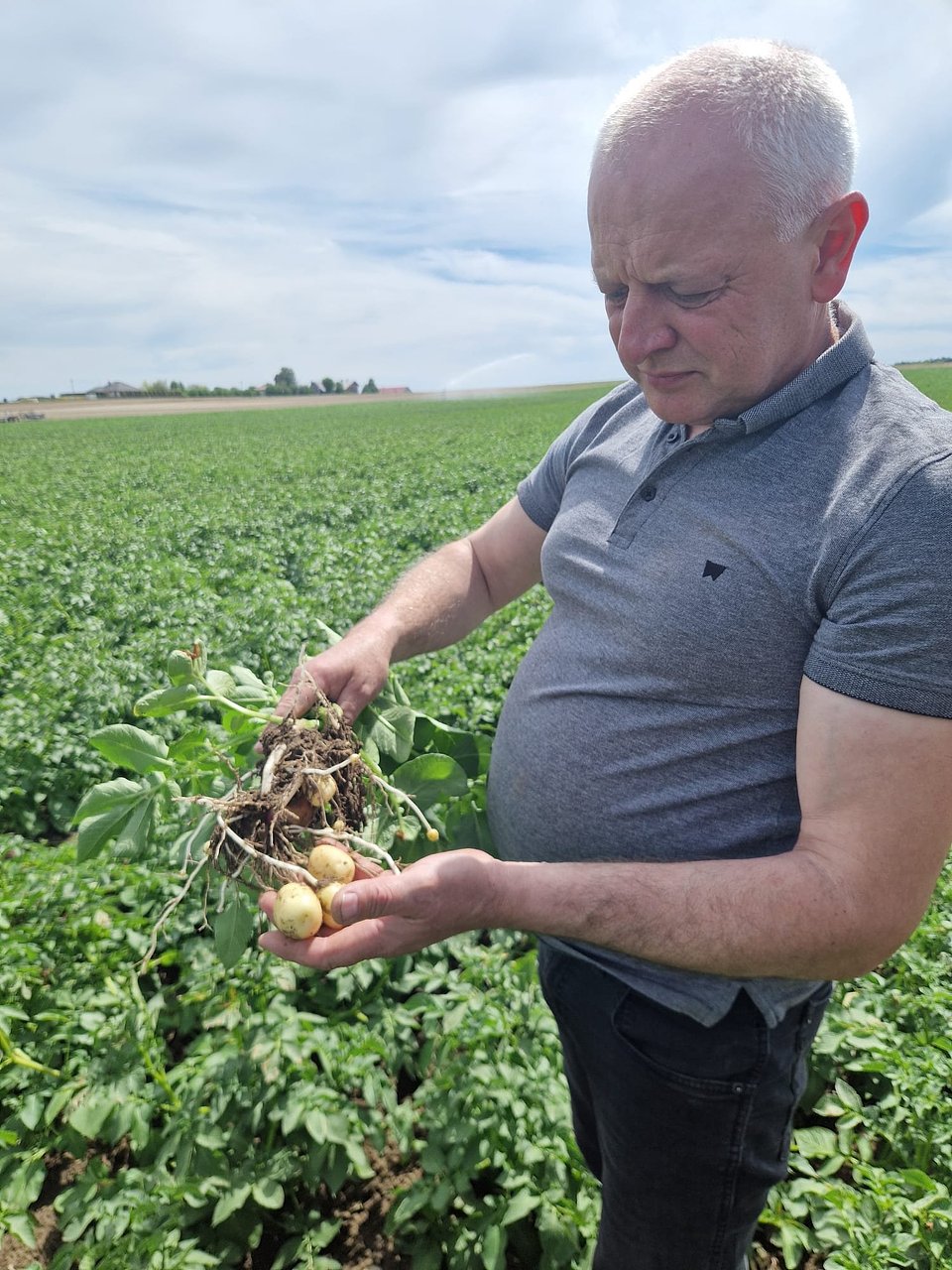 Karol Ciamciak, rolnik i producent ziemniaków z powiatu sieradzkiego