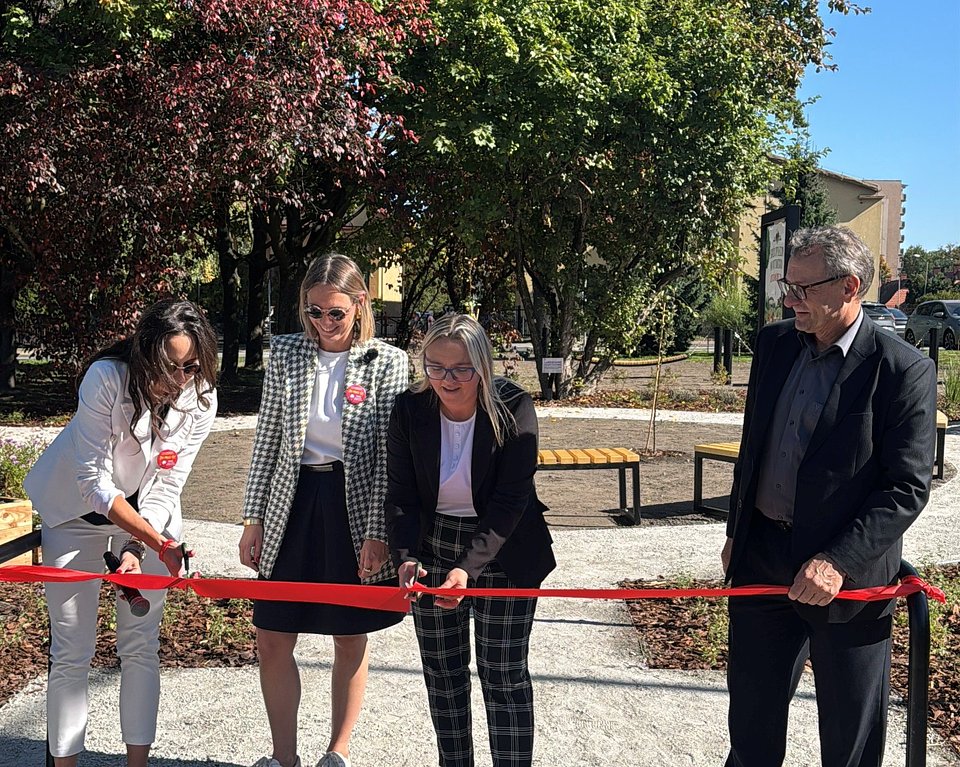 Maria Ryś, Radna Miasta Katowice; Mieczysław Wołosz, Dyrektor Zakładu Zieleni Miejskiej w Katowicach; Aleksandra Makowska, Regionalny Menedżer ds. Marketingu Operacyjnego w sieci Biedronka; Nadia Białach, Starszy Menedżer ds. Marketingu Operacyjnego w sieci Biedronka