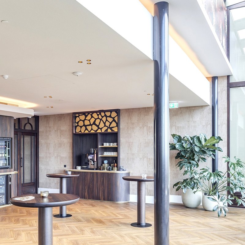 Holandia_Van der Valk  Eindhoven Best_fot_Dion de Bakker_dla_knauf_celing_solutions_10.jpg