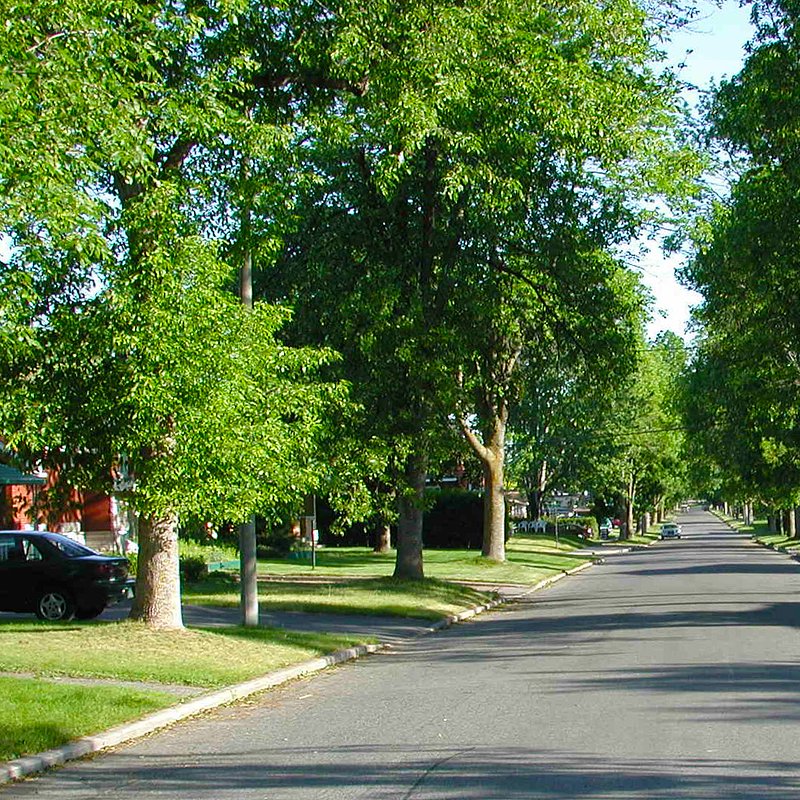 Housing &amp;amp; Neighborhoods  (71).jpg