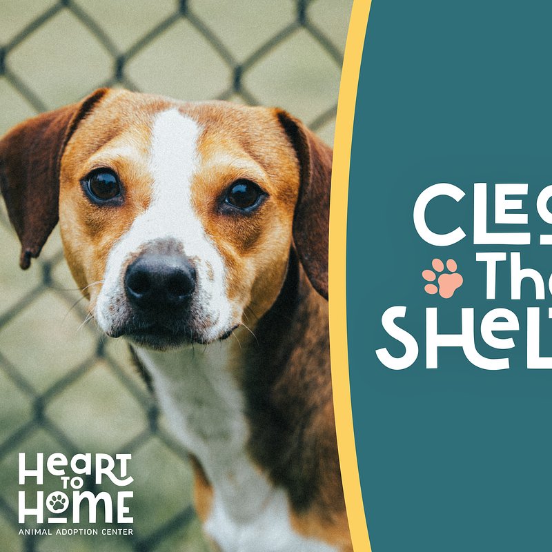 H2H_ClearTheShelter_FbEventCover.jpg
