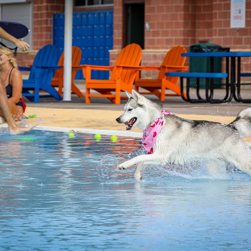 5Z1A5030.jpg