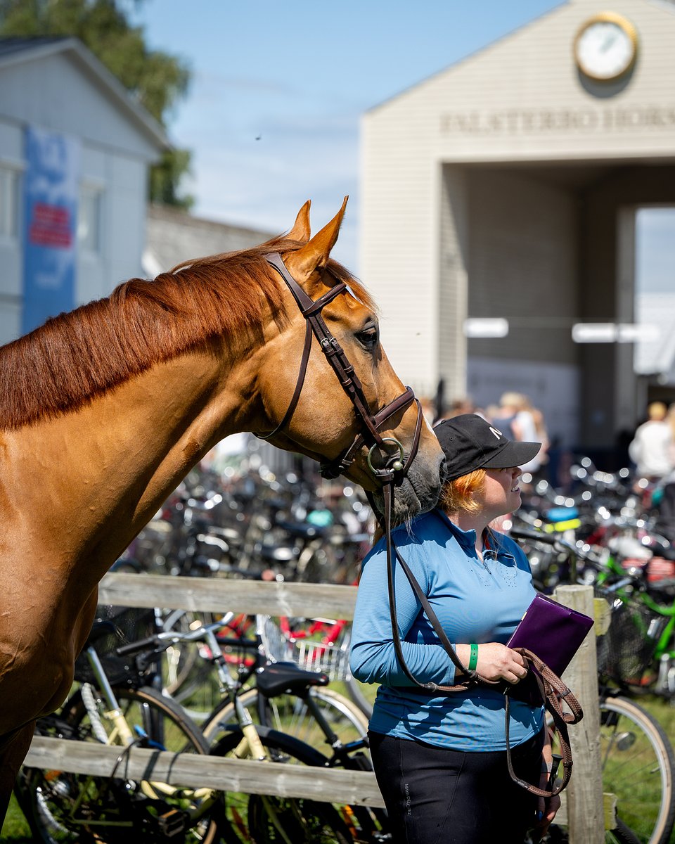 PEDERFREDERICSON_VETCHECKFALSTERBO©ROLEXSERIES.JPG