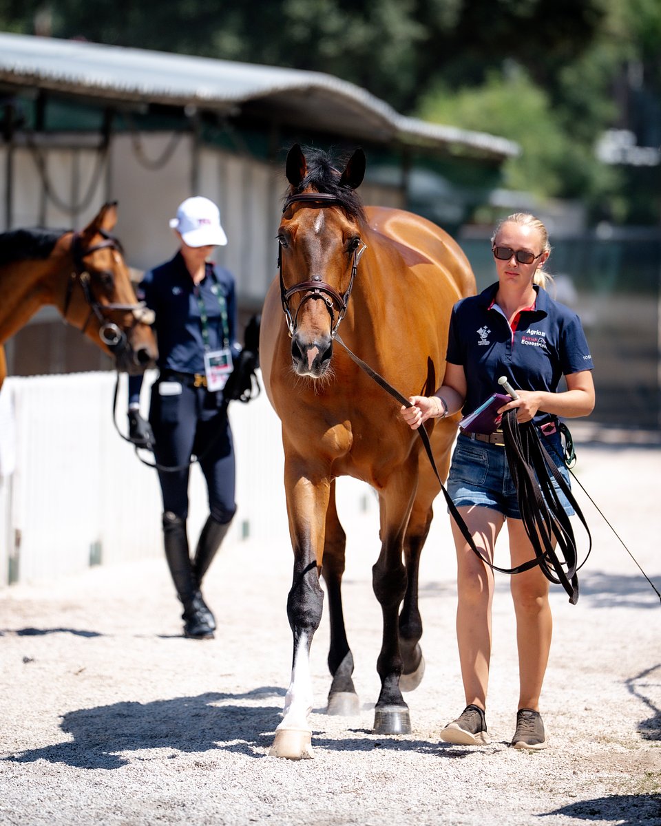 VETCHECK_ROLEXSERIES_ROME2026©HELENCRUDEN2026-10.jpg