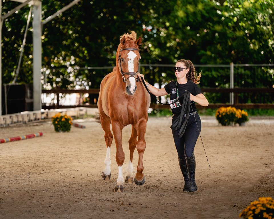 VetCheck_SophieHinners.jpg
