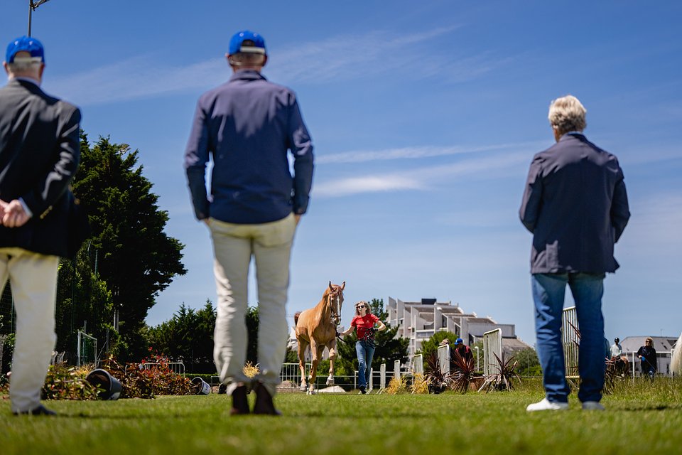 Day1_Vetcheck ©️ROLEX SERIES.jpg