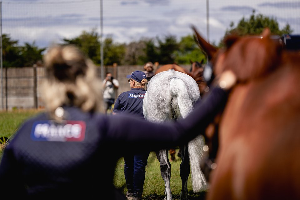 Day1_VetCheck ©️ROLEX SERIES.jpg