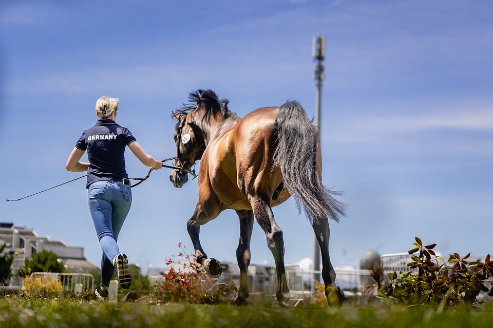 Day1_VetCheck ©️ROLEX SERIES.jpg
