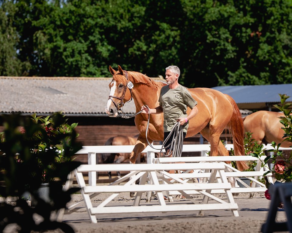 Day1_VetCheck ©ROLEX SERIES.jpg