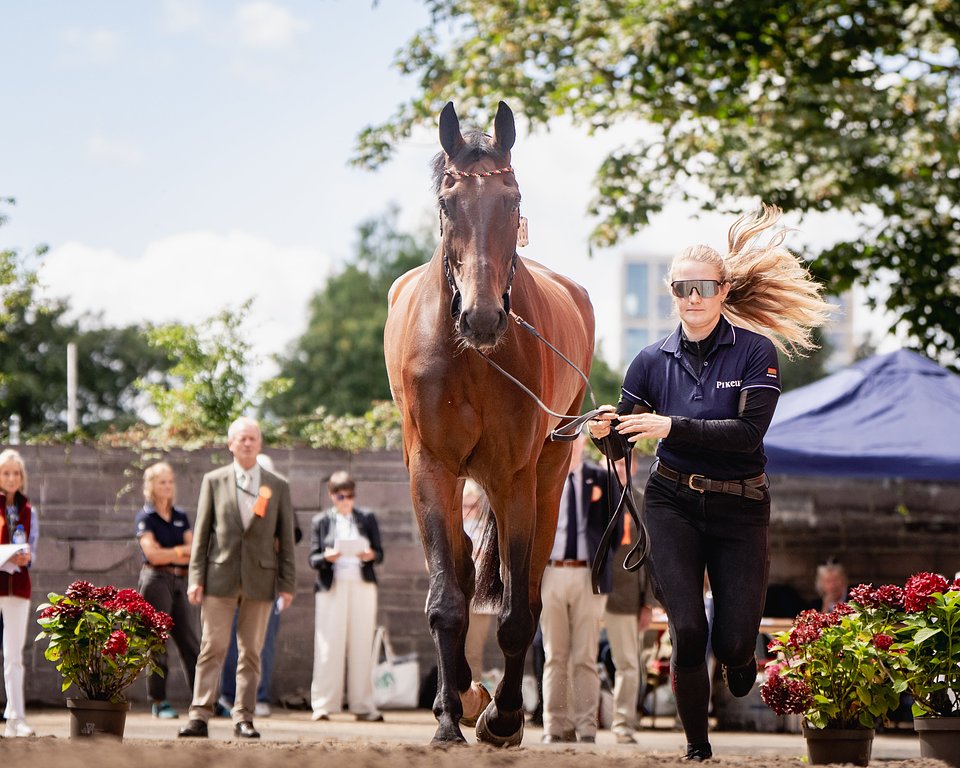 DAY1_VETCHECK_©ROLEX SERIES.jpg
