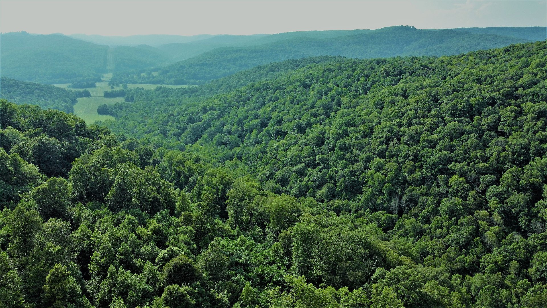 Southern Conservation Trust