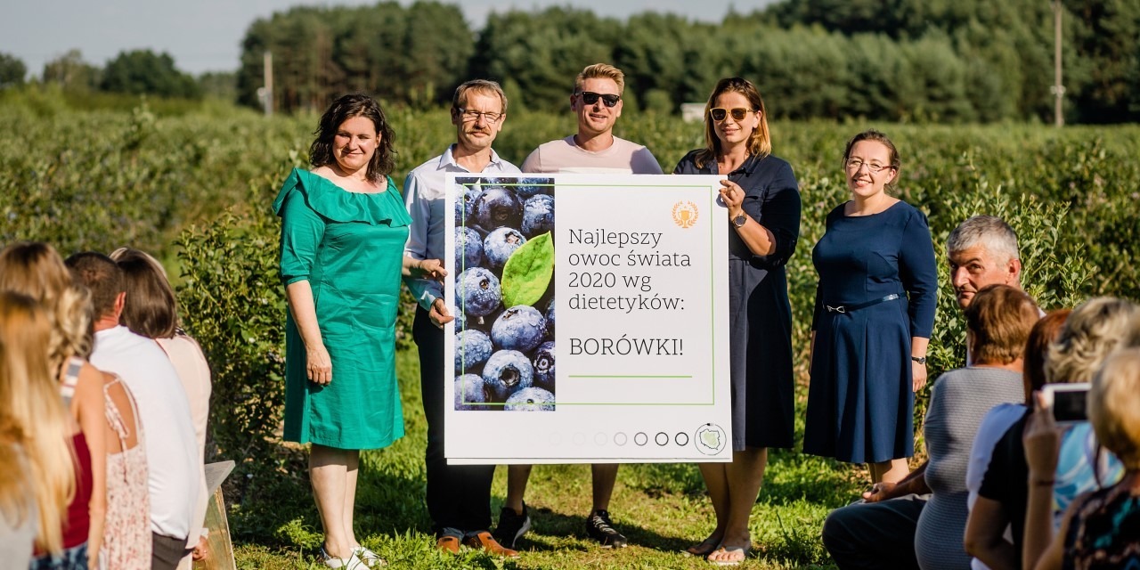 Borówki ulubionym owocem dietetyków