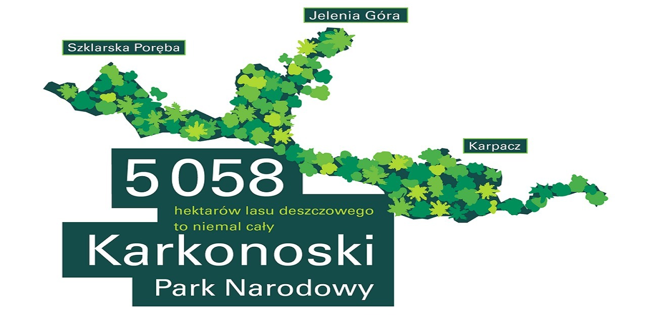 Prologis chroni lasy deszczowe i ogranicza ślad węglowy – startuje europejski program