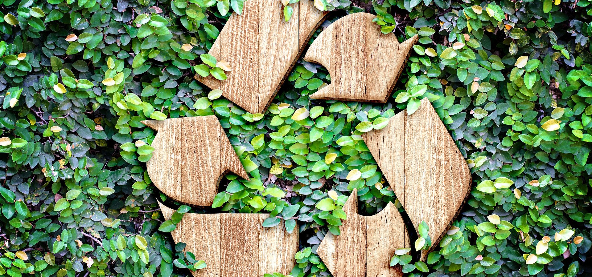 Walka o klimat to wspólna sprawa. Kronospan w debacie ekspertów Rzeczpospolitej