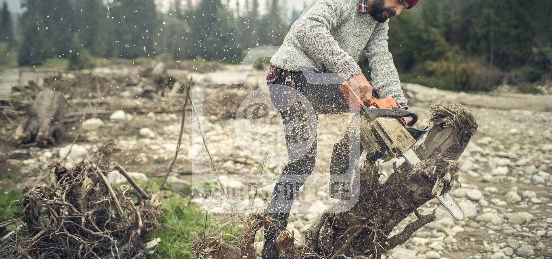 Photos for Life docenione przez Adweek