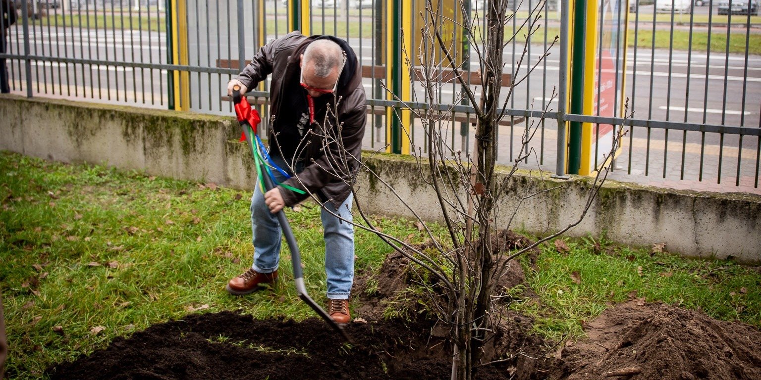 Jurek Owsiak i WOŚP sadzą Lasy Na Zawsze