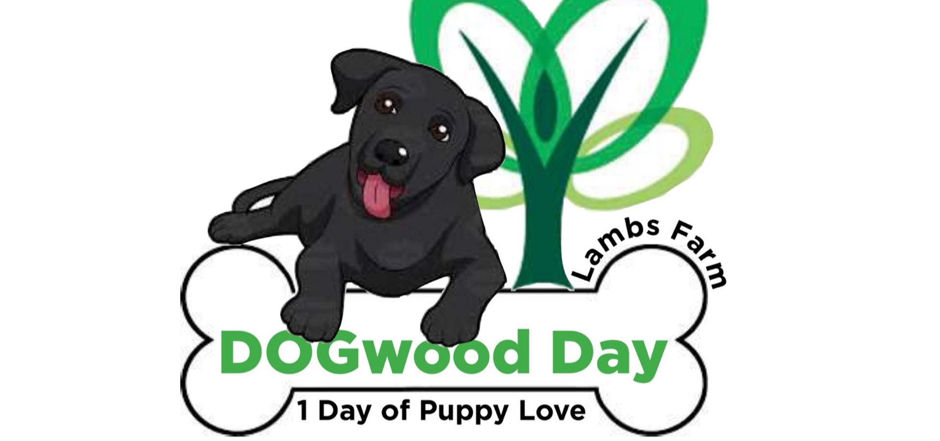 Dogwood Day at Lambs Farm