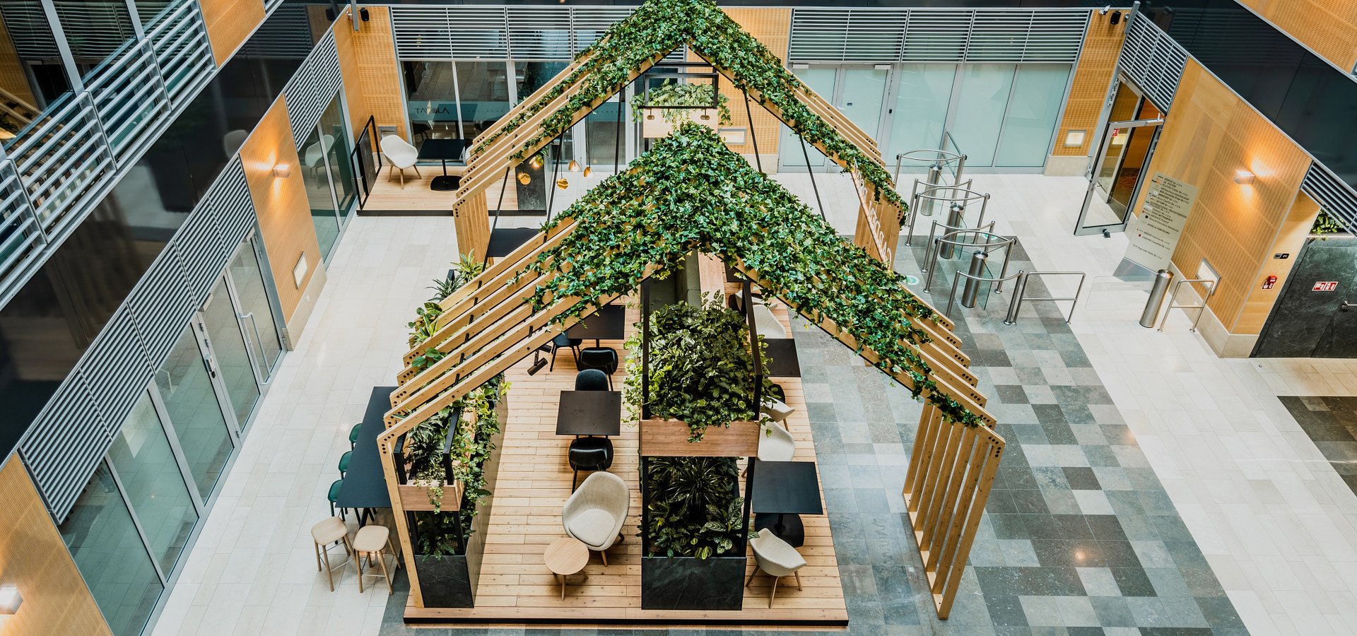 Offices full of plants