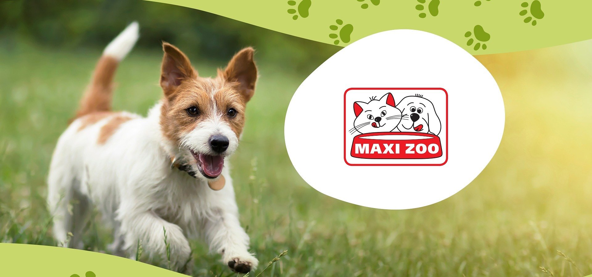 Agencja Ancymony (Schulz) ze stałą obsługą Maxi Zoo