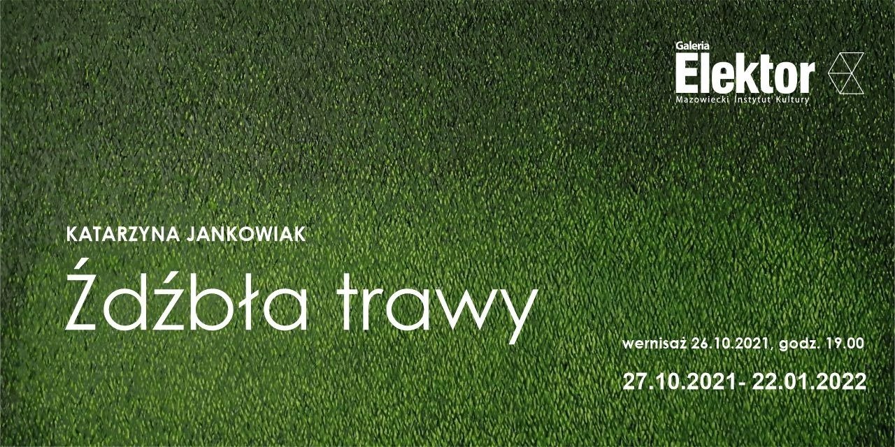 "Źdźbła trawy" w Galerii Elektor