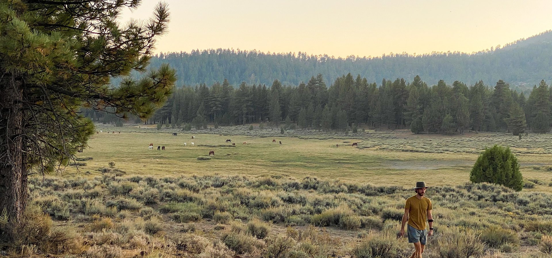 377-Acre Nature Resort Holcomb Valley Ranch in Big Bear Hits Market for $12 Million