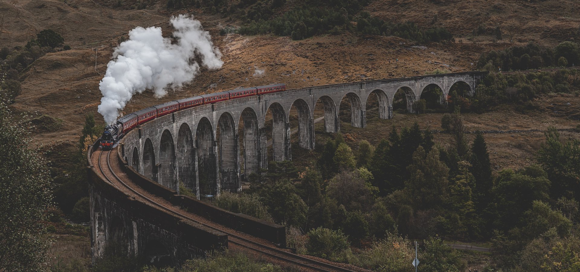 20 Jahre “Harry Potter und der Stein der Weisen”: Streamingzahlen und Songs zum beliebten Klassiker