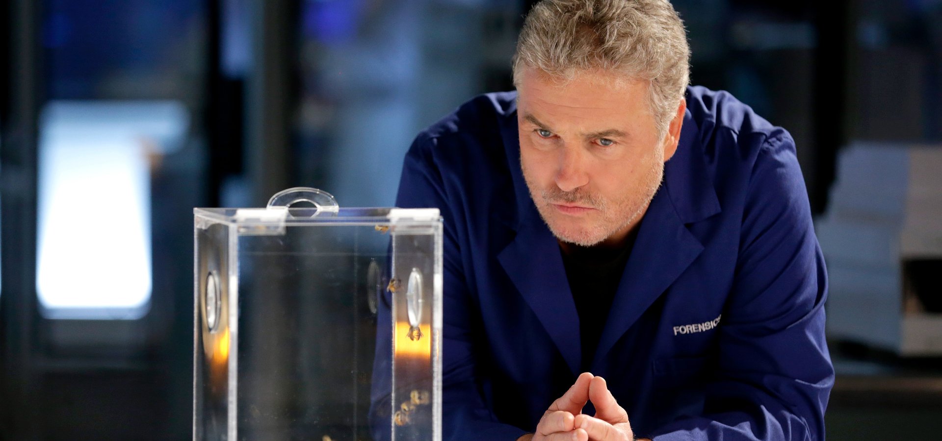 CHEGA À FOX “CSI: VEGAS”