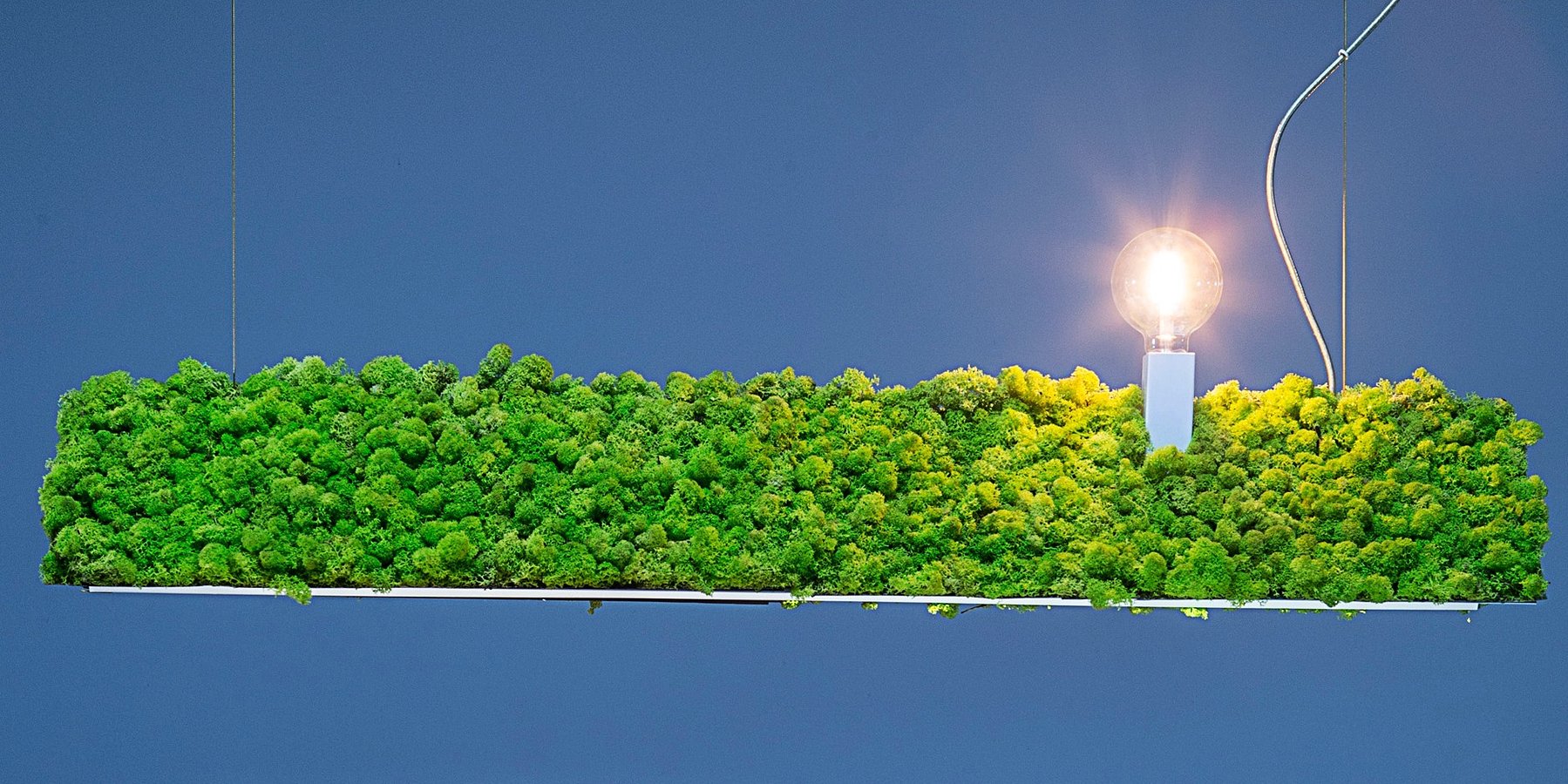 ‘LIFE COLLECTION’ FIRMATA TIAGO CURIONI