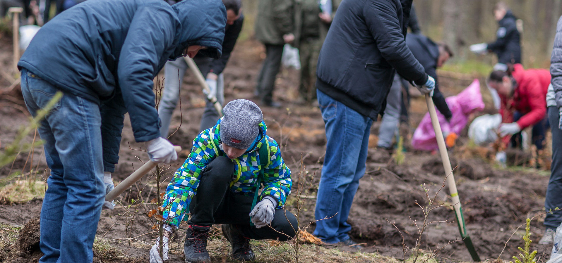 Kronodrzewko po raz siedemnasty