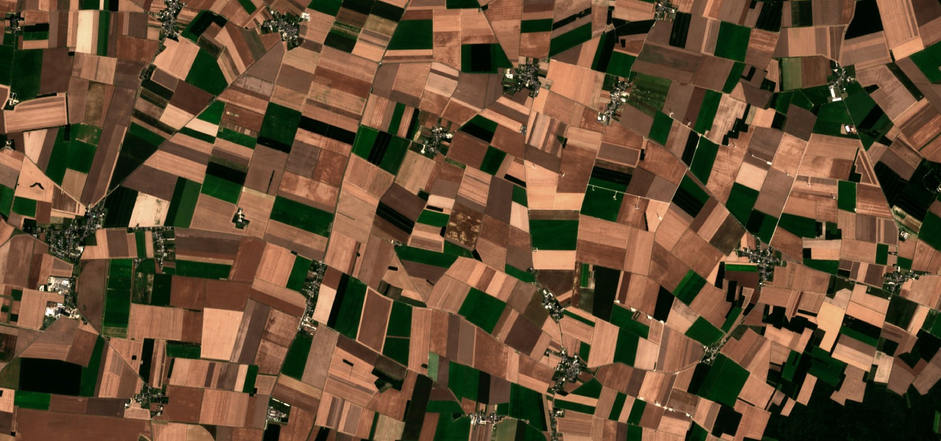Works underway on an innovative solution for satellite crop monitoring