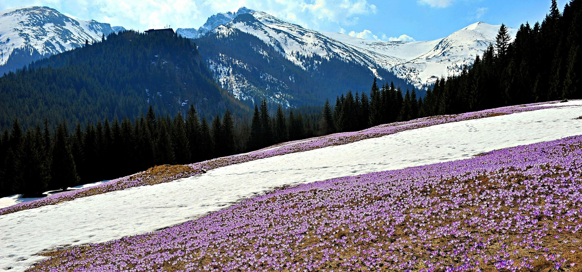 Weekend majowy pełen górskich atrakcji! Sprawdź co ciekawego zaplanowały Polskie Koleje Linowe w ośrodkach turystycznych