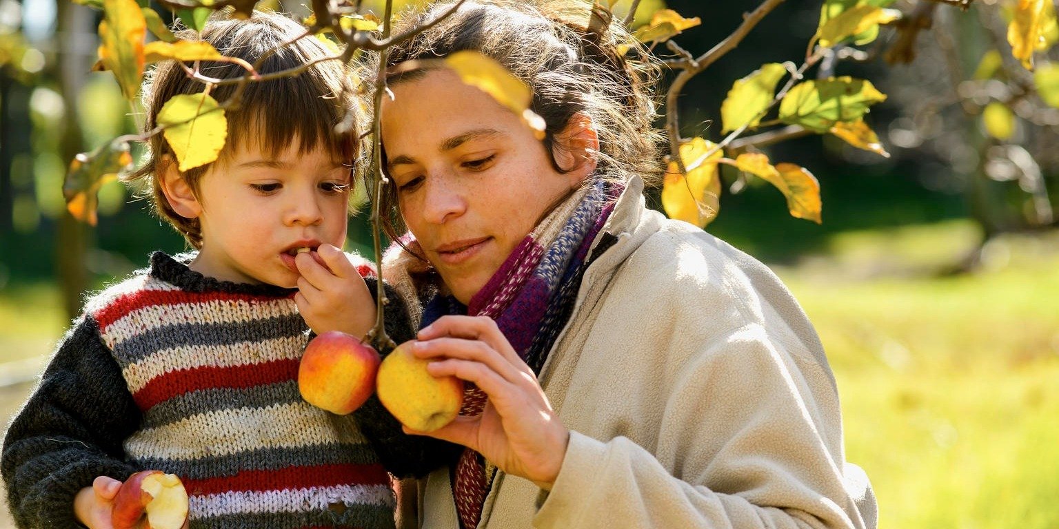 Jak wykształcić zdrowe nawyki żywieniowe u dziecka?