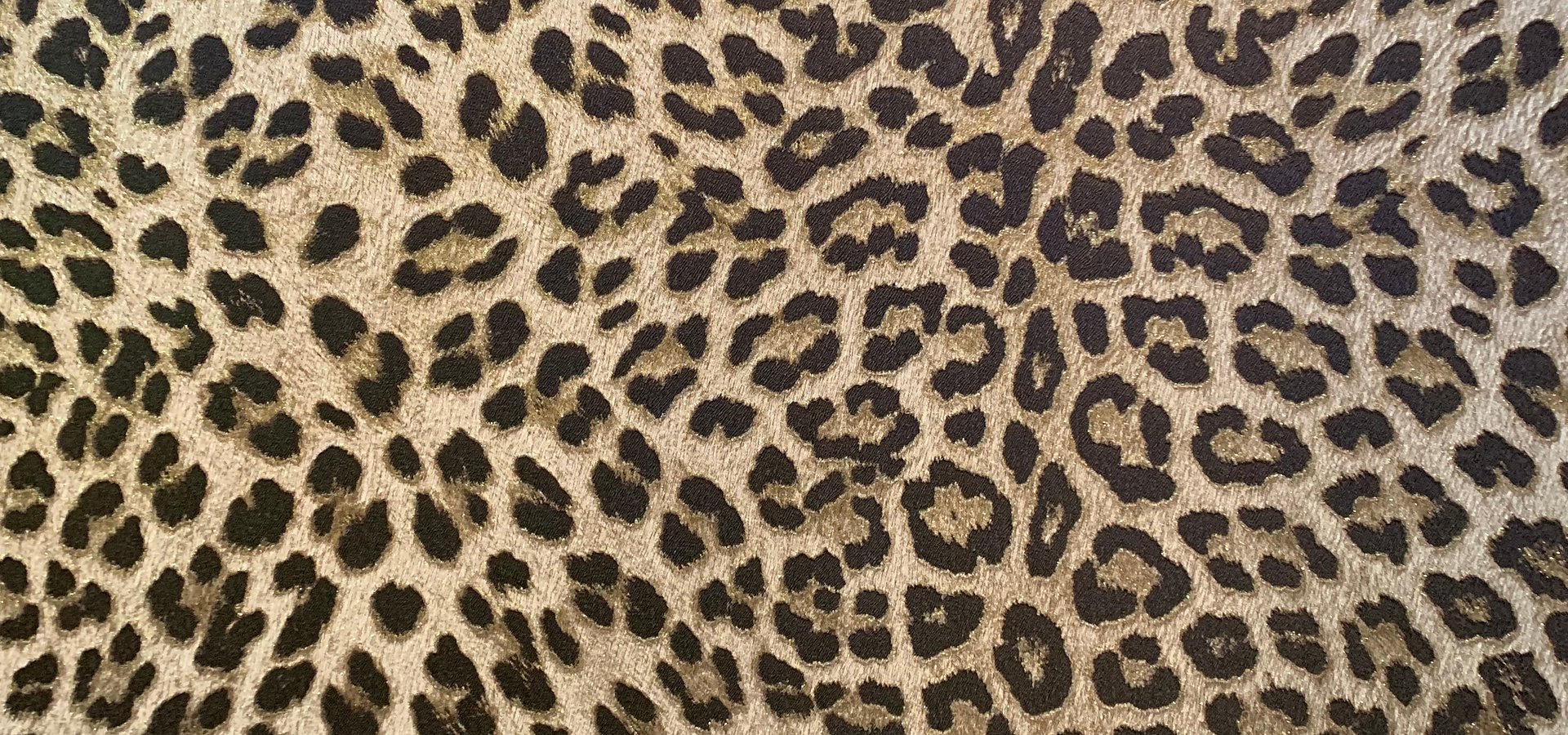 PHILIPP PLEIN WALLPAPER BY ZAMBAITI