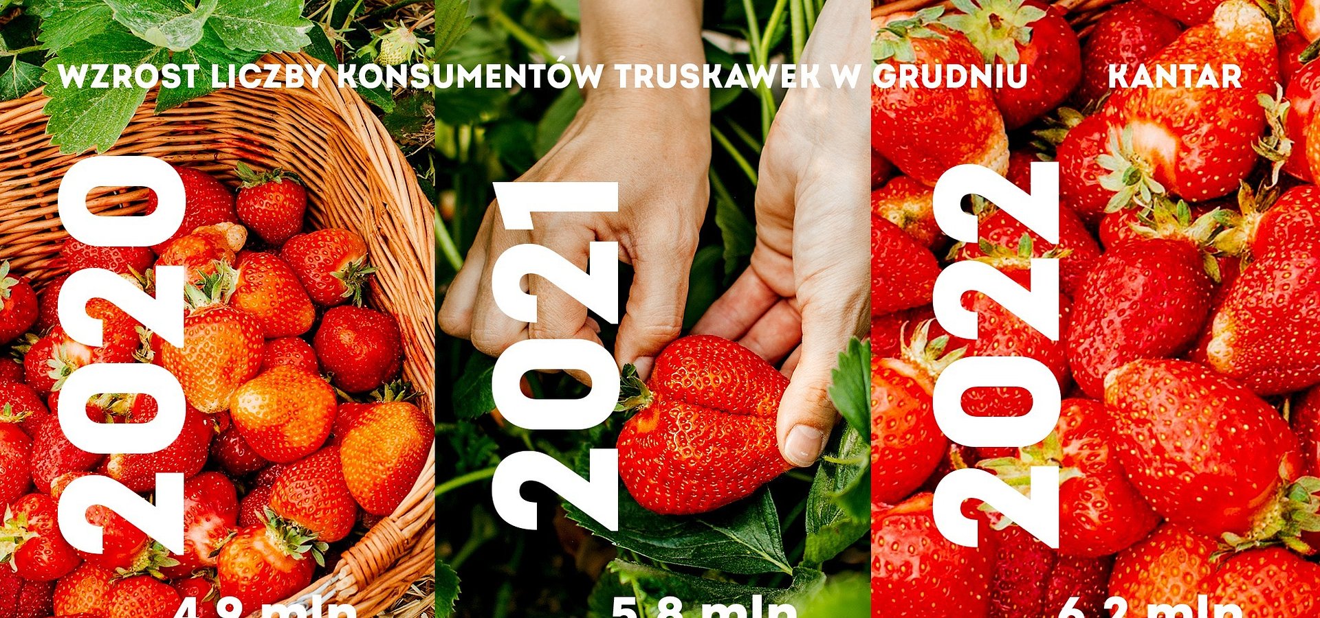 Grudzień z rekordem konsumpcji truskawek