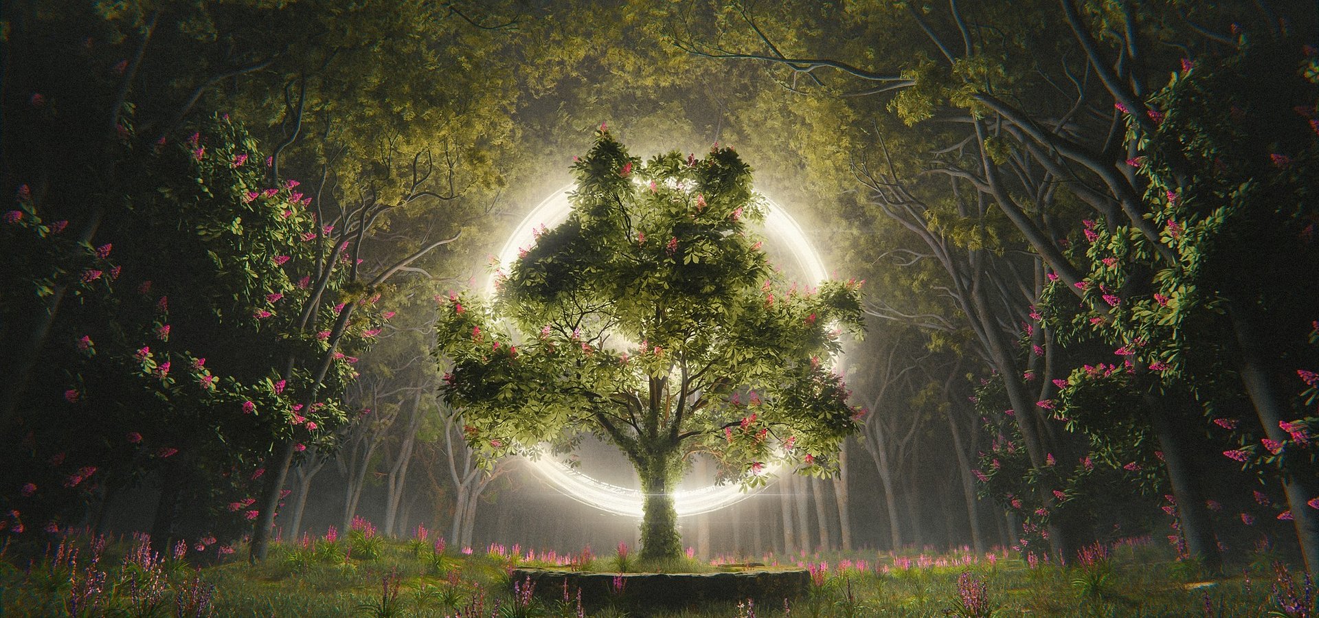 Startuje kolejna edycja konkursu ASUS ProArtist Awards 2023