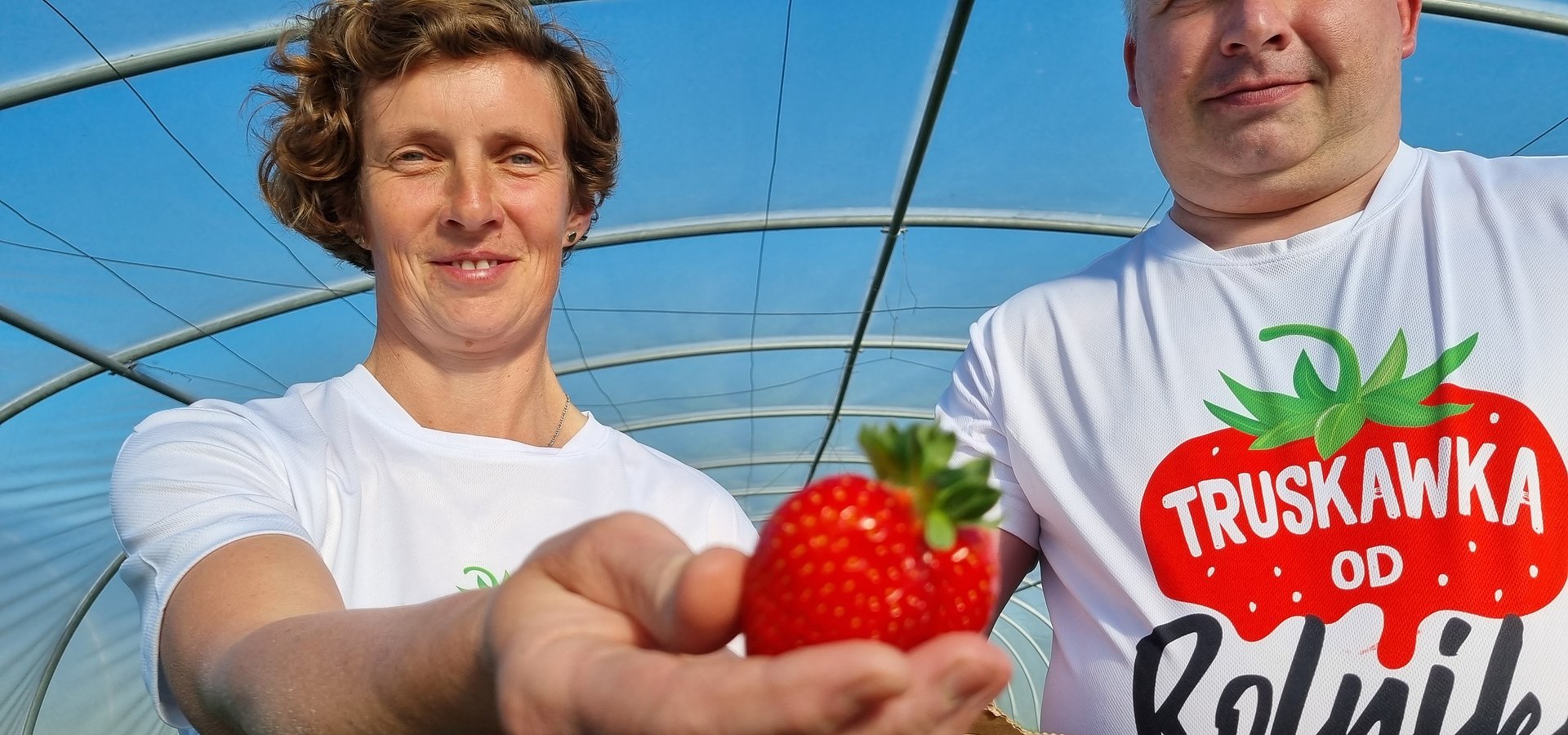 SUPEROWOCE Pierwsze polskie truskawki