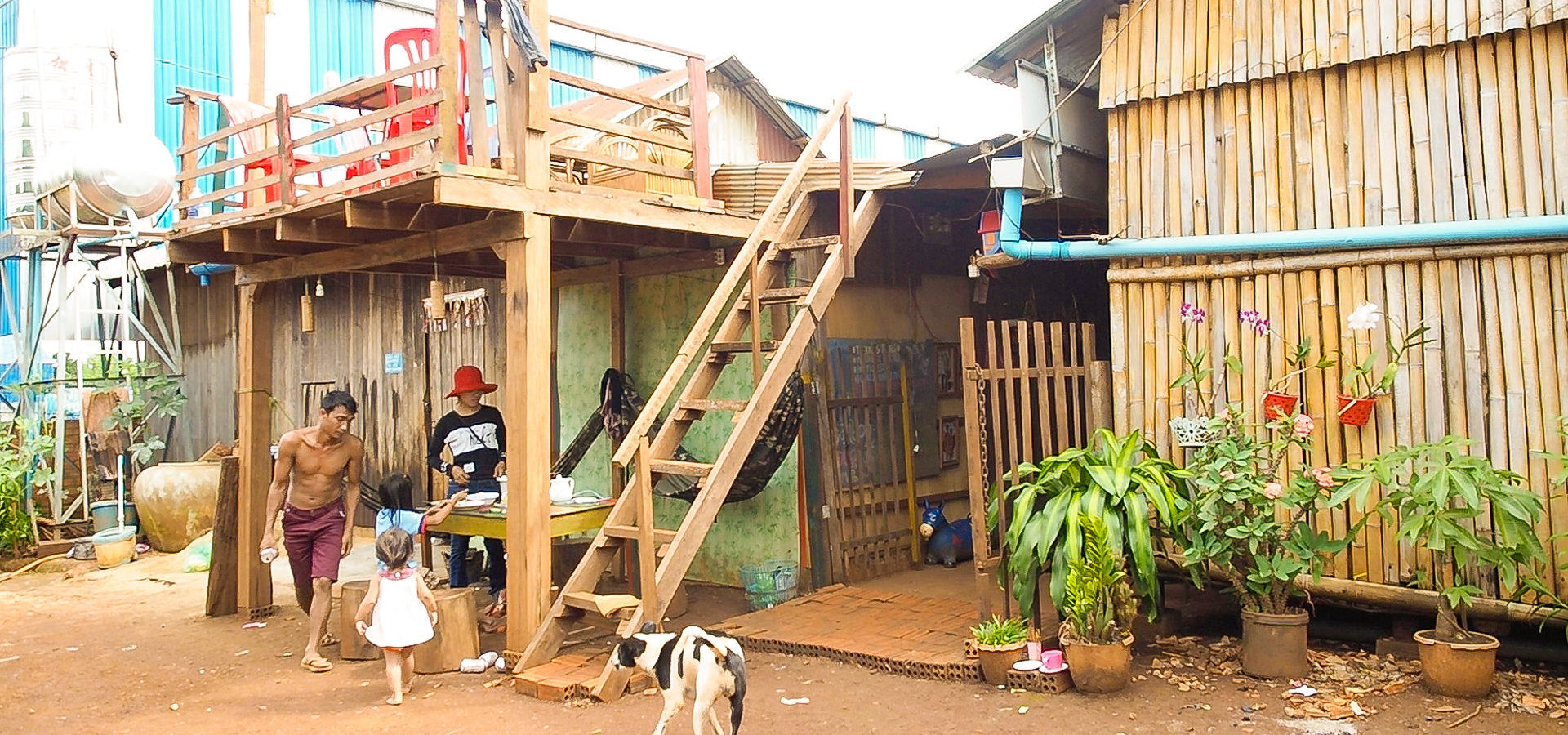 Sukces polskiej youtuberki! W 24 godziny zebrała na dom dla...