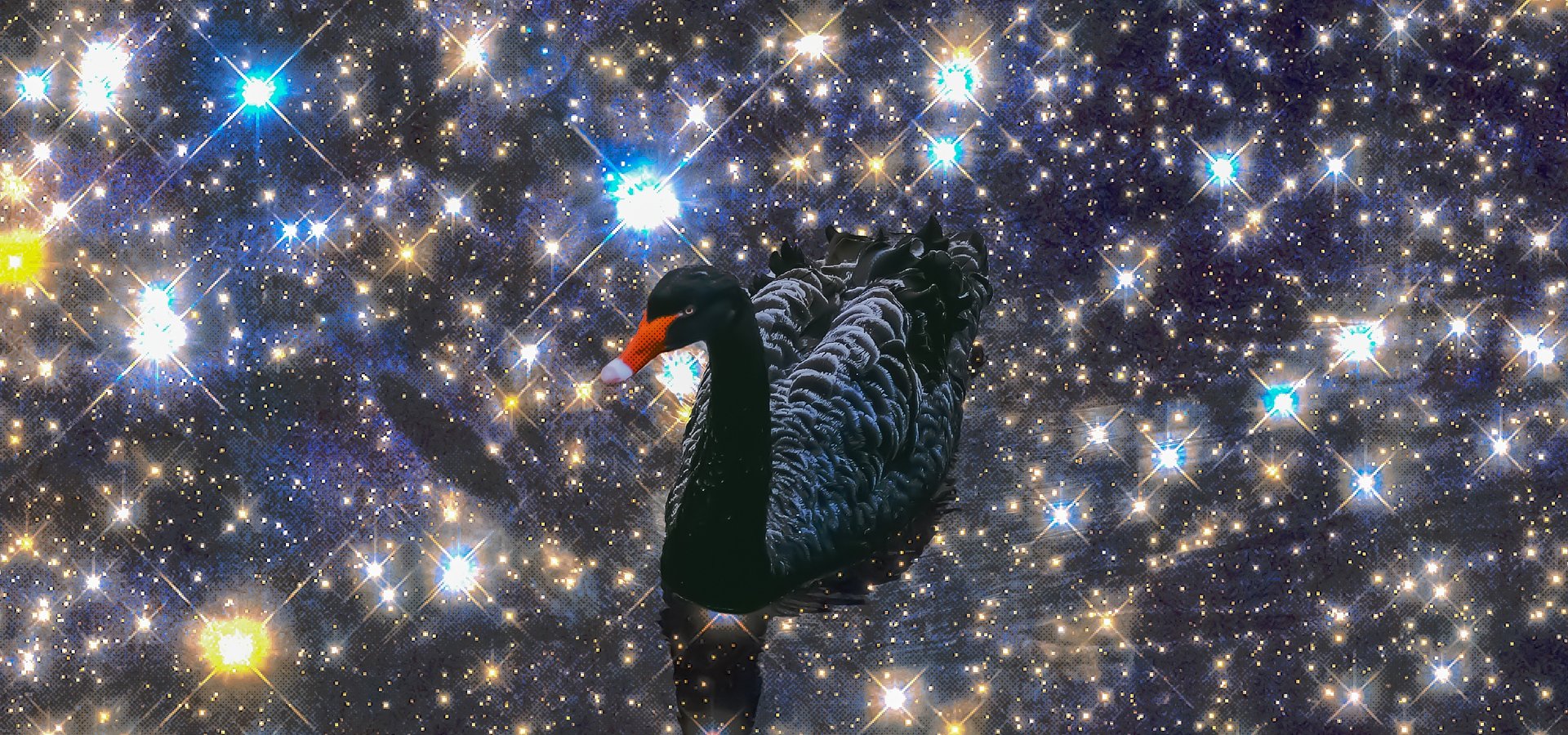 Musical Trio Lotion Princess Drops New Single "Reassurance"