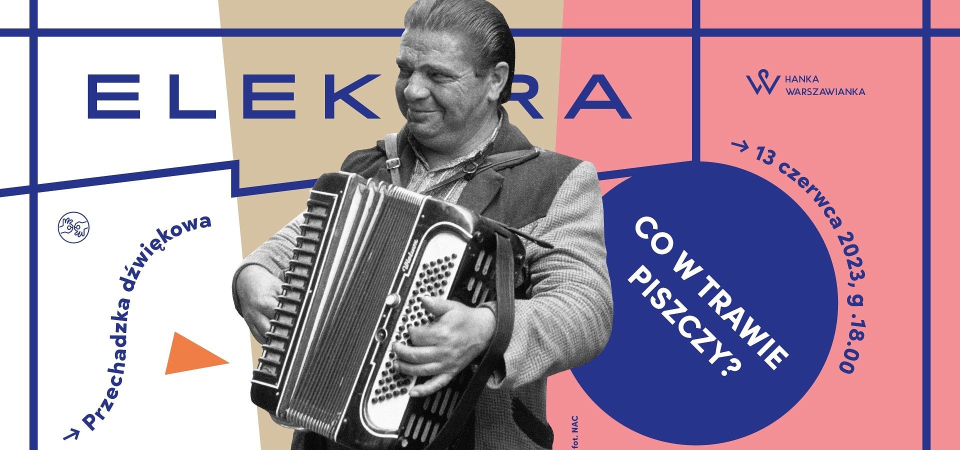 SPACERY Z ELEKTRĄ - co w trawie piszczy