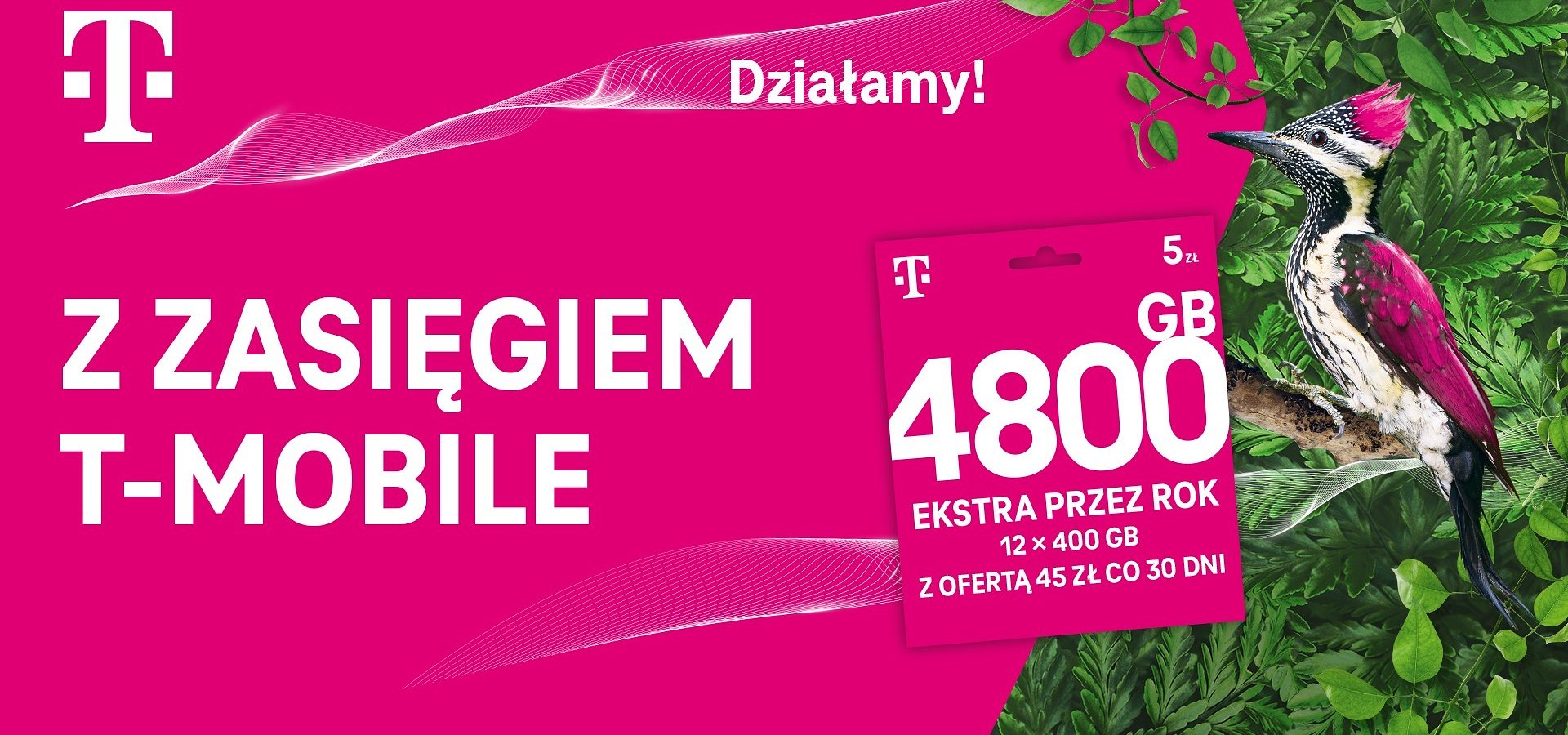 Z zasięgiem T-Mobile nigdy nie jesteś w lesie. Rusza nowa kampania promująca 4800 GB ekstra przez rok w T-Mobile na kartę.