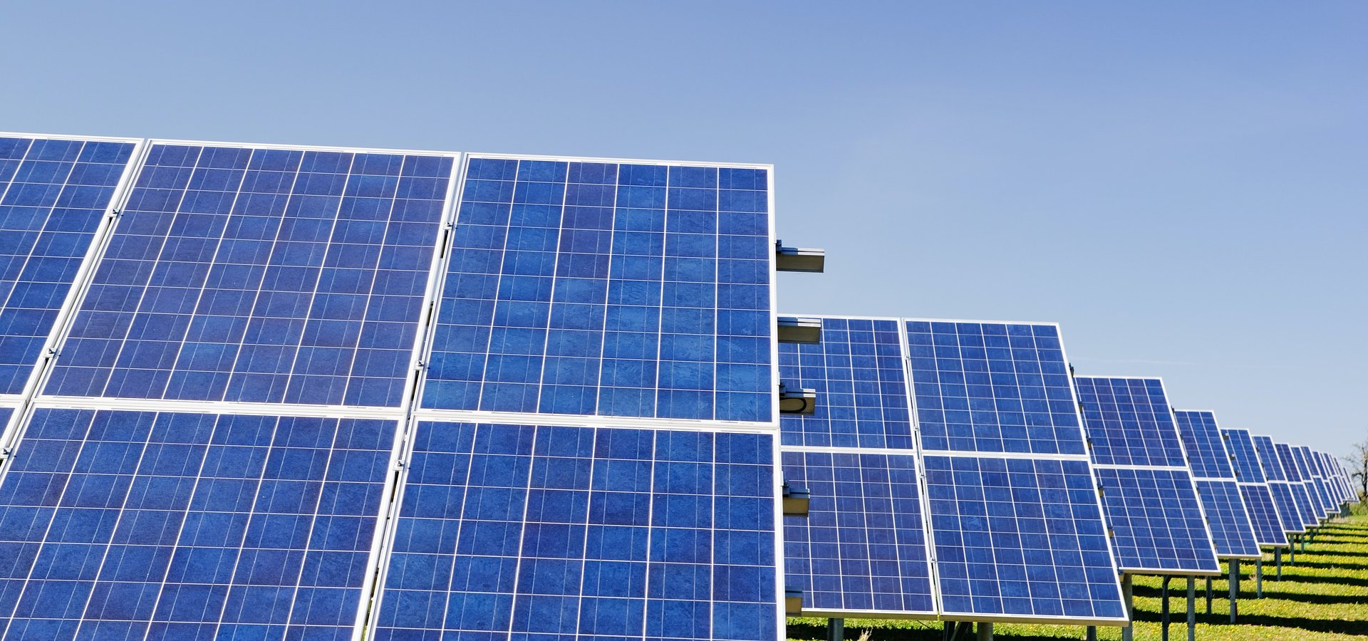 Sektor OZE rośnie w siłę napędzając światową gospodarkę